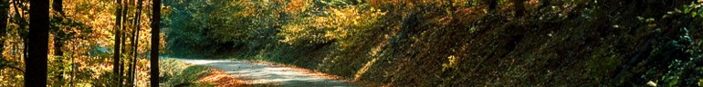 Happy Hills Campground and Cabins