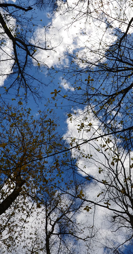 sky in fall