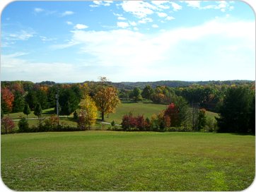 Scenic Country View