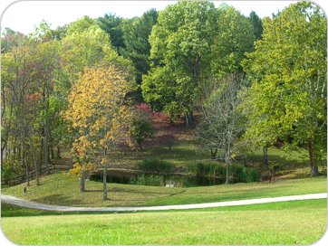 Nice pond view