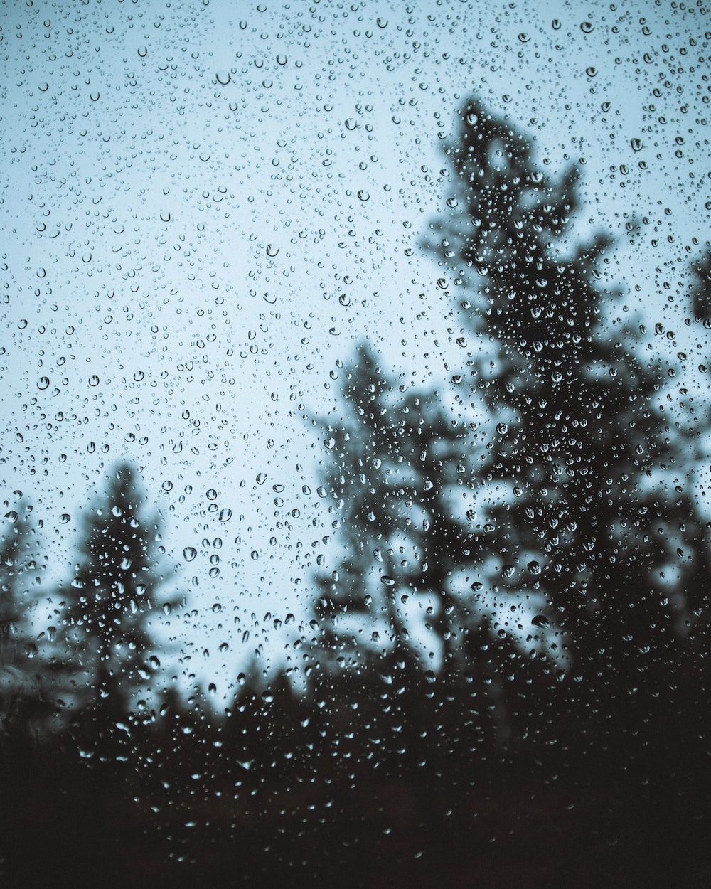 rainy day in Hocking Hills