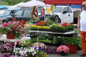 Athens Farmers Market