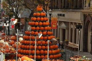 Circleville Pumpkin Show