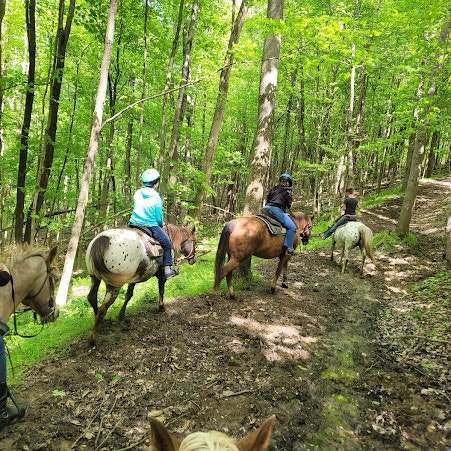 Spotted Horse Ranch