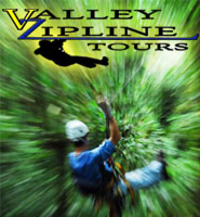Valley Zipline Tour