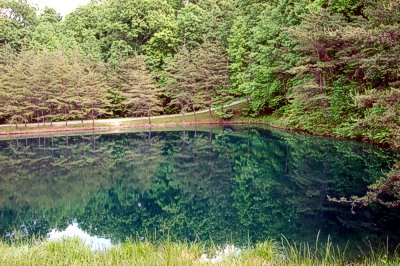 Paradise Cabin pond
