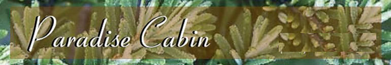 Paradise Cabin banner