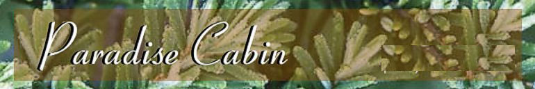 Paradise Cabin Banner