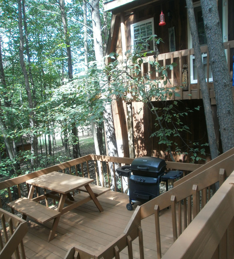 The treehouse deck