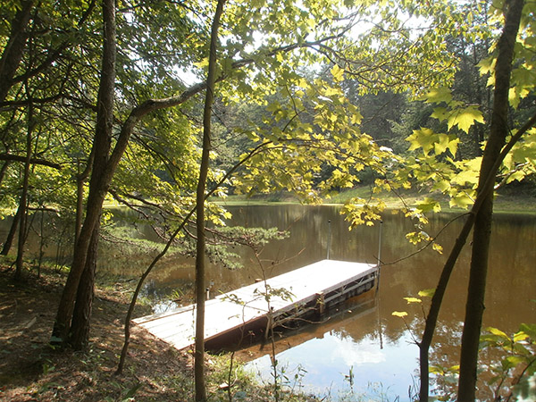 The treehouse dock on the lake