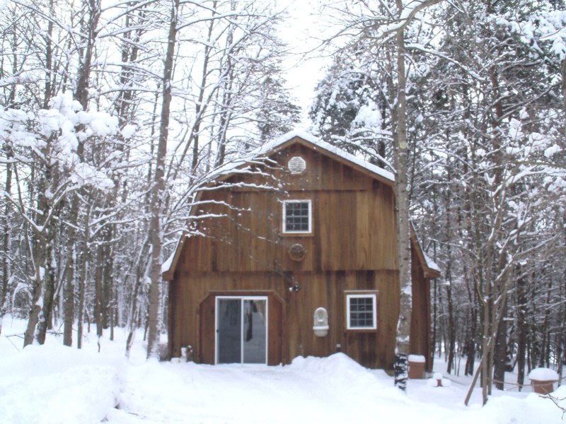 The treehouse exterior in winter
